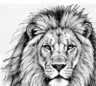 Clean stencil linework of the lion